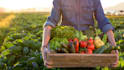 build agriculture app, farming industry app, farmer app development