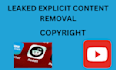 takedown harassing defaming from reddit and youtube under dmca