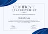 create professional resume cv design , cv writer , cv maker