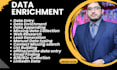 do data entry, data appending, data enrichment and missing data collection