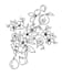 create botanical flower, plants, fruits svg and png clipart