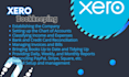 do xero bookkeeping, reconciliation, clean up