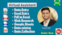 do excel data entry, web research, data mining, copy paste