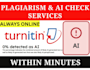 provide urgent ai checks and reports for your documents