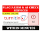 provide urgent ai checks and ai reports for your documents