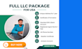 create your US llc and get an ein fast