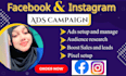 manage facebook and instagram ads campaign