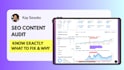 audit your website content and give you an SEO action plan