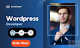 design, redesign, build, rebuild,  edit, wordpress website
