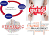 write strategic management case study and essays