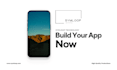 develop a high performance flutter app for ios and android