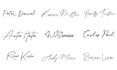 design a stunning custom signature logo for your brand