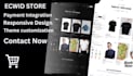 professional ecwid by lightspeed store setup and management