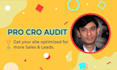 do in depth conversion rate optimization cro