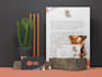 elevate your brand with stunning stationery design