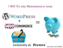 setup and fix any woocommerce related issue