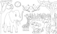 illustrate children colouring book page and amazon KDP