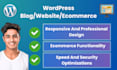 create a professional responsive wordpress blog