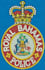 do professional embroidery digitizing in 1hours