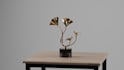 3d product animation video