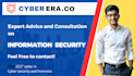 provide expert information security consultation services