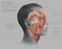 create detailed, accurate 2d digital medical illustrations