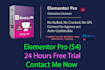 install elementor pro with 1 year license