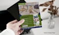 do urgent medical, gym, and all kinds of sales flyers