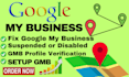 professional google my business setup and optimization