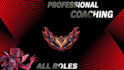 coach you professionally in league of legends all roles