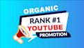 do fast organic  youtube promotion and video seo