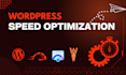 do wordpress speed optimization for google page speed insights