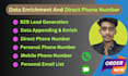 collect direct phone, mobile phone number and b2b lead generation
