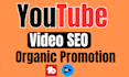 do complete youtube video SEO for higher rankings organic views and growth
