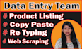 assist you any kind of data entry service with my team
