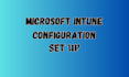 assist you with microsoft intune