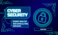do expert cyber security project analysis, penetration testing and consulting
