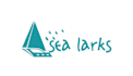 design suitable classic boat card logo