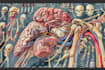 design and make your scientific illustrations, figures