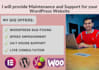provide maintenance and support for your wordpress website