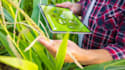 develop agricultural app farming app, farm management app, farm tracking app