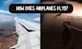prepare aerodynamics and air law topics