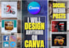 design professional flyers, posters, video ads using canva pro