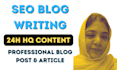 write HQ SEO blog writing and articles on any topic in 24h