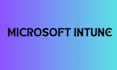 set up microsoft intune for your organization