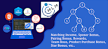 develop your binary MLM web application