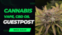 publish your article on premium pure cbd website