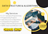 assist you with data structures and algorithms tasks projects in java and python