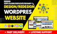 design,redesign,copy,clone a professional wordpress website for local busines