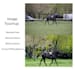 do bulk post processing, retouching and image editing